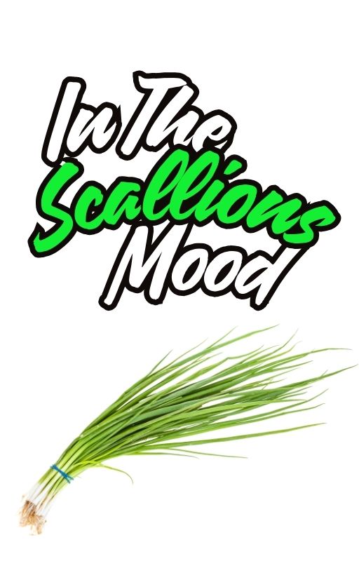 10 Scallions cover