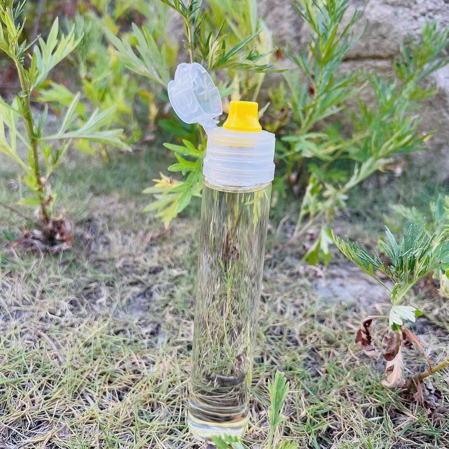 Camping6