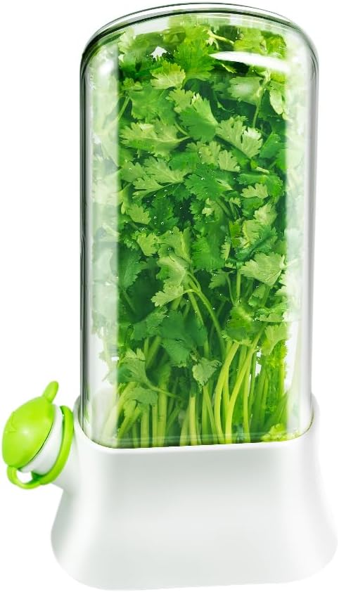 Herb