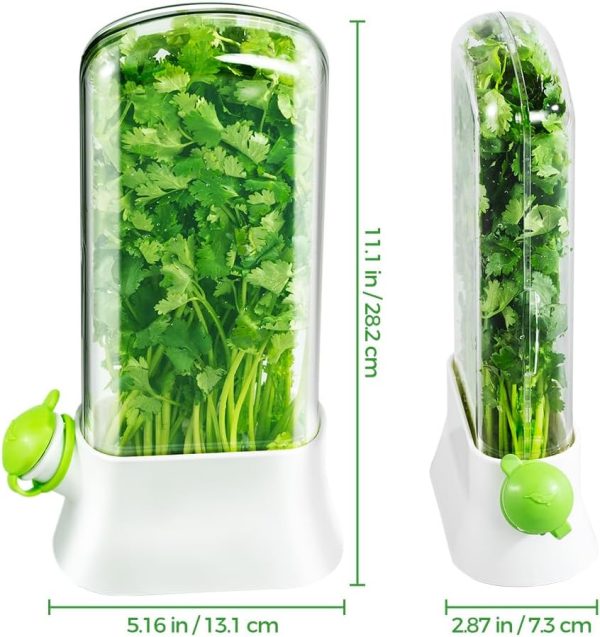 Herb1