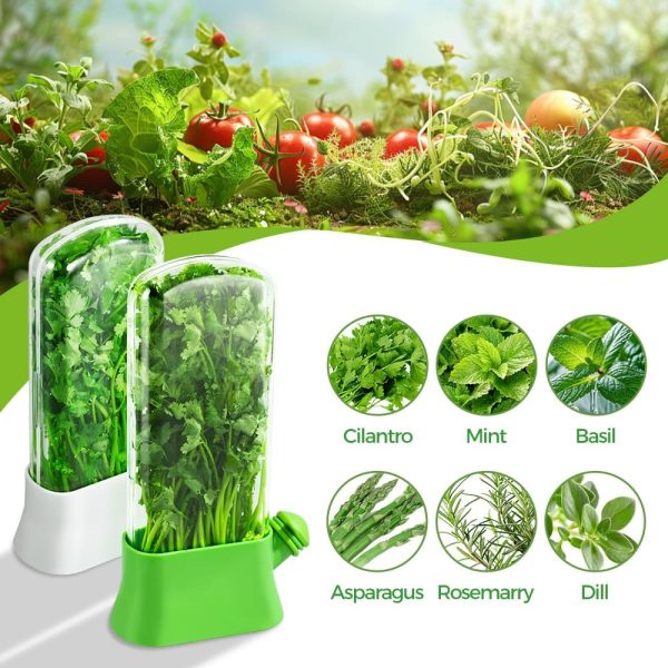 Herb2