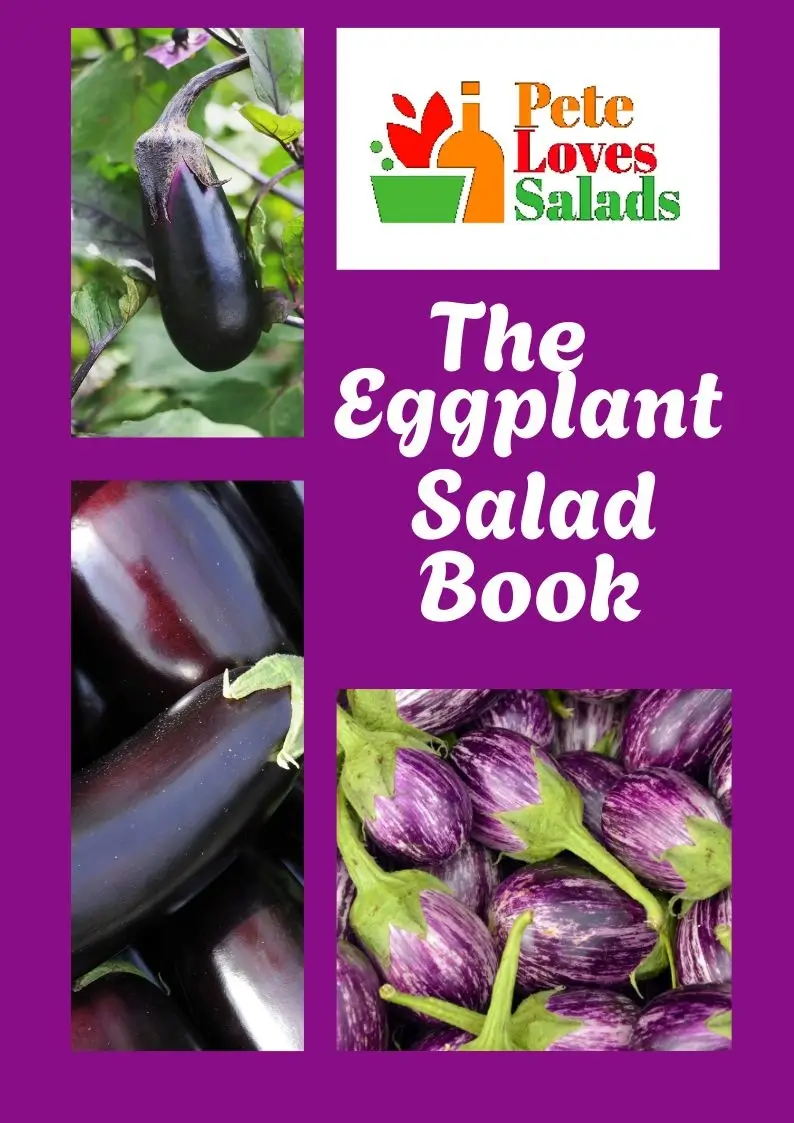 The Eggplant book